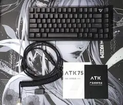 ATK75 G BLACK ＋ coiled cable