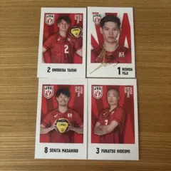 日本代表 バレーボール トレーディングカードセット