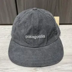 2026年最新】パタゴニア 帽子 xlの人気アイテム - メルカリ