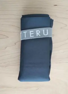 Item thumbnail for item 92d3087b-19cf-431c-8ad5-6538b79d9857