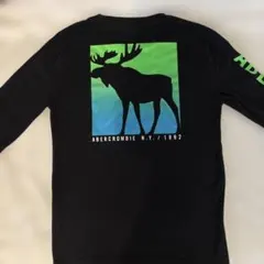 アバクロ　ロンT 140cm