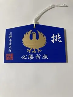 ○軽井沢 熊野皇大神社 八咫烏 サッカーワールドカップ仕様 御朱印