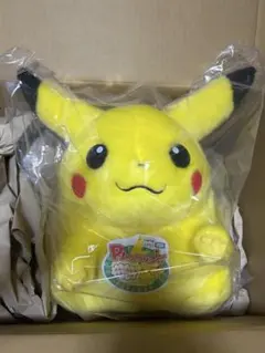 ポケットモンスター 30周年記念 おかえり！ピカチュウ1/1 ぬいぐるみ