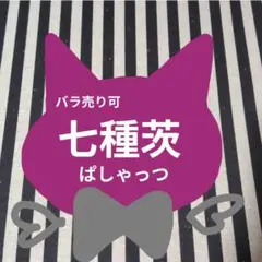 あんスタ 茨 ぱしゃこれ 中国 TRIP 3周年 4周年 星幻 招募 フェア