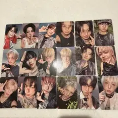 &TEAM Back to Life ROAR ウィバース トレカ コンプ