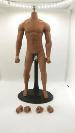 1/6シームレス素体tbリーグ旧ファインセン細マッチョボディ