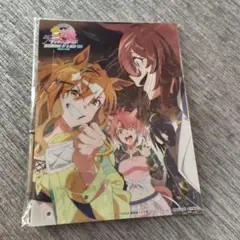 劇場版「ウマ娘プリティーダービー新時代の扉」B5アクリルボード