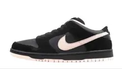 Nike SB Dunk Low PRO Black/Washed Coral