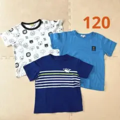 120 動物柄Tシャツ3枚セット