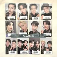 スキズ FORCE 2026 シーグリ ソニミュ 購入特典 FC限定 コンプ