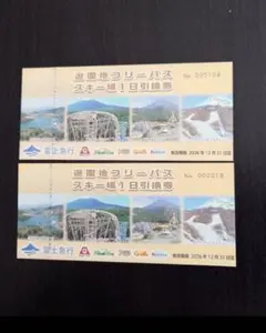 富士急ハイランド フリーパス引換 2名様分gのサムネイル