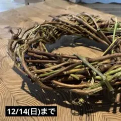 2025年最新】山葡萄 蔓の人気アイテム - メルカリ