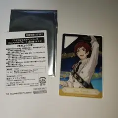 アイドルマスター 天道輝 ミニアクリルカード