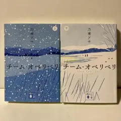 チーム・オベリベリ 上下　T11