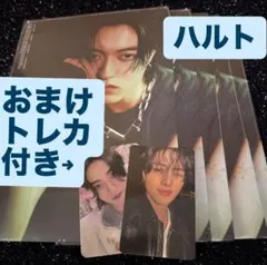 TREASURE ハルトトレカセット　Paradise LOVEPULSE