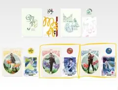 Mrs GREEN APPLE クリアファイル 2枚セット