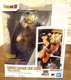 赤い彗星様　フィギュアーツZERO　スーパーサイヤ人孫悟空　-闘いの軌跡-