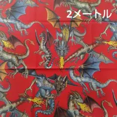 2025年最新】アレキサンダー 生地の人気アイテム - メルカリ
