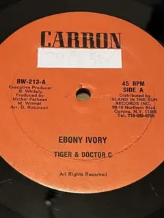 レゲエ　EBONY IVORY/ TIGER&DOCTER C12インチ