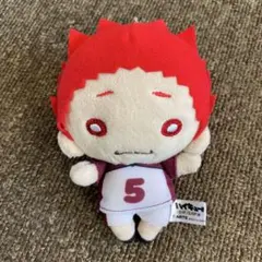 2025年最新】天童覚 にとたんの人気アイテム - メルカリ