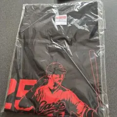 新井貴浩 応援グッズ