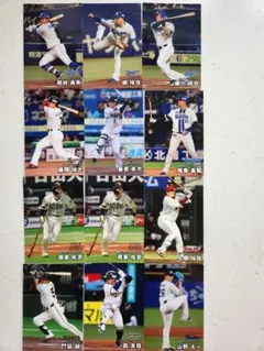 プロ野球チップスカード