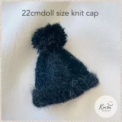 No.1357 22cmドールサイズ ニットキャップ