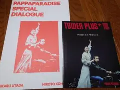 宇多田ヒカル 甲本ヒロト スペシャルダイアログ パッパパラダイス ZINE