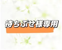 待ちぶせ様専用ページ