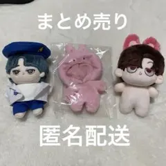 straykids チャンビン マスター 10cm ぬいぐるみ まとめ売り 洋服