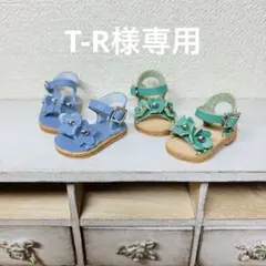 ピュアニーモ オビツ ネオブライス リカちゃん 靴 サンダル - メルカリ