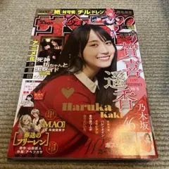 Item thumbnail for item 11cf1bb5-8625-4dec-9e00-9f4c2e33b3e7