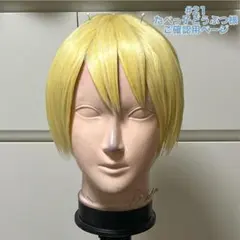 卯月コウ ウィッグ コスプレ にじさんじ - メルカリ