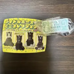 2026年最新】アイドルホースの人気アイテム - メルカリ