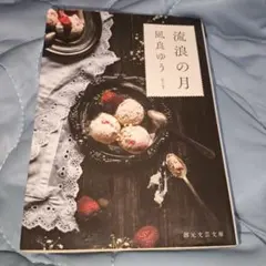 流浪の月 凪良ゆう 創元文芸文庫