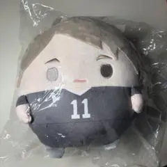 ハイキュー くじメイト ぬいくじ C賞 ふわコロりん Mサイズ 宮治