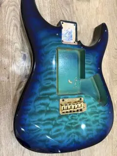 Fernandes fr-55 ボディ