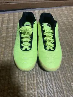 NIKEエアマックスプラス