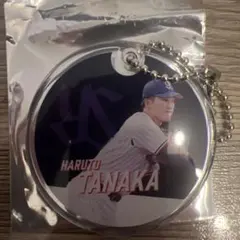 スワポン　ヤクルト　ファン感謝デー　田中陽翔