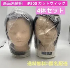 新品 美容師国家試験　4体セット カットウィッグ カットマネキン カットウィッグ カットマネキン 国家試験 新品未使用 マイスター