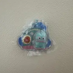 サンリオ パッケージチャーム ハンギョドン