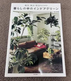 美品☆【観葉植物】暮らしの中のインドアグリーン