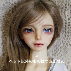 2026年最新】スーパードルフィー hydeの人気アイテム - メルカリ