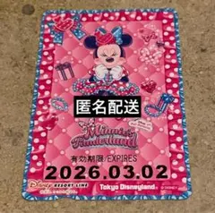 【匿名配送最安値】ディズニー　ミニー　フリーきっぷ　リゾラ　ミニーの日