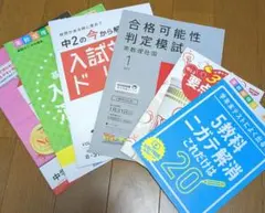 Item thumbnail for item 596a7331-2699-4dda-b77f-0b383a513498