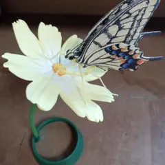 生き物大図鑑　キアゲハ