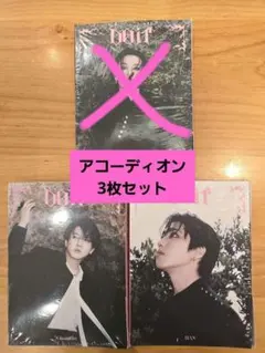 アコーディオン バンチャン ハン チャンビン スリラチャ do it 翌日発送