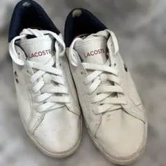 LACOSTE スニーカー ホワイト ロゴ刺繍☆24〜24.5くらいです❗️