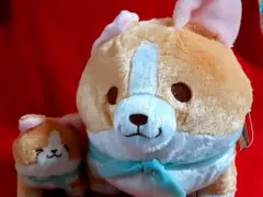 【 忠犬もちしば】 すくっとBIG ぬいぐるみ 「こむぎ」