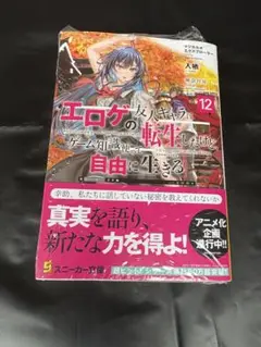 25年10月新刊★マジカル★エクスプローラー 12巻 定価814円